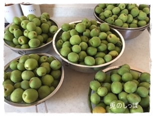 c0190707_17122196.jpeg