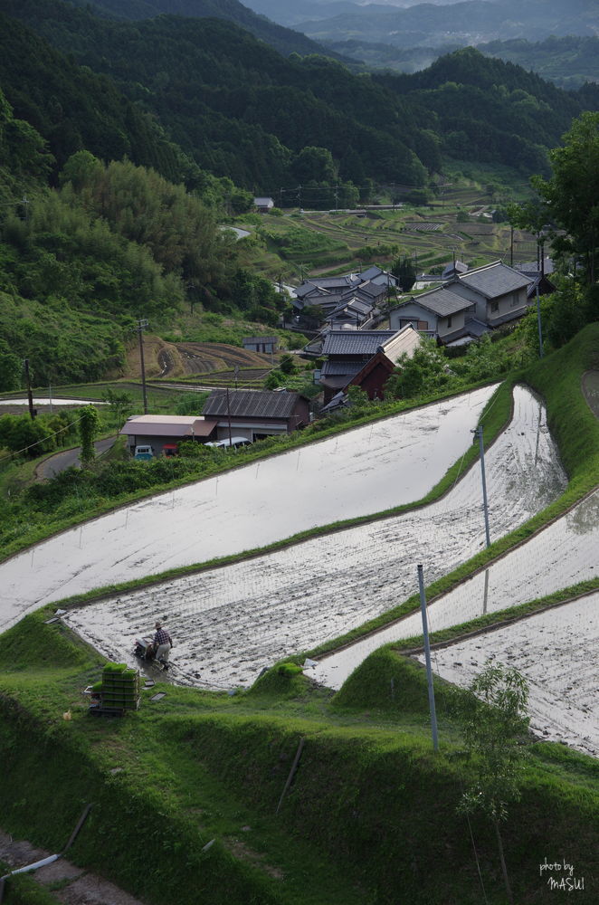 明日香村　上（かむら）の田_d0342307_22193059.jpg