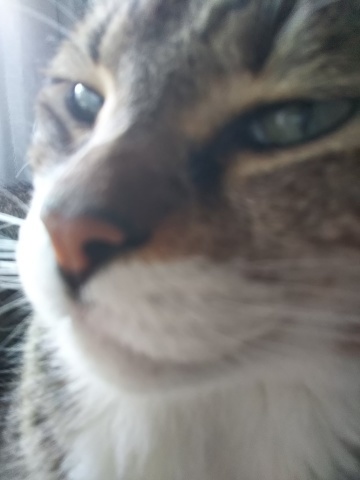 こっちもボヤキ_f0316507_20593339.jpg