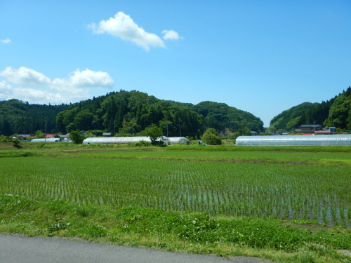 e0243008_10514127.jpg