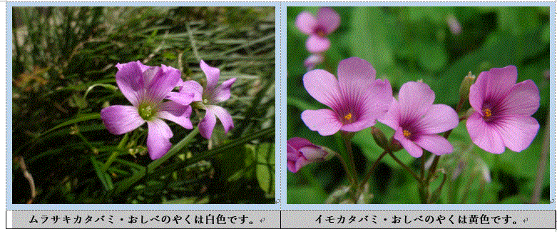 f0231709_12022104.gif