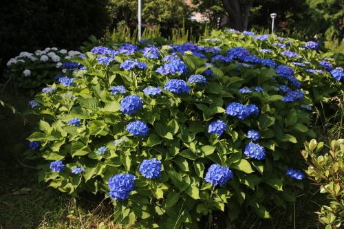 f0296109_09265968.jpg