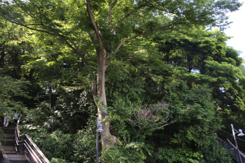 f0296109_09303507.jpg