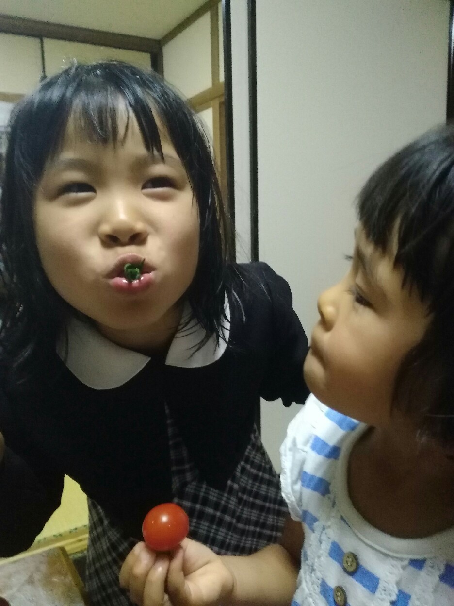 梅雨入り。_a0300410_16093135.jpg