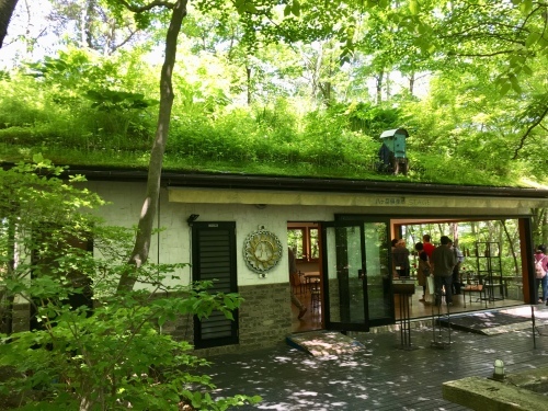 d0179410_16135549.jpeg