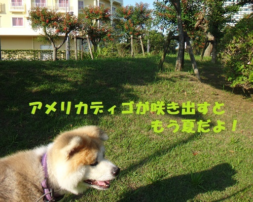 f0121712_15034304.jpg