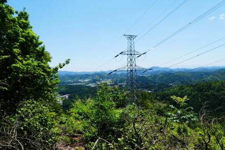 d0170615_08333145.jpg
