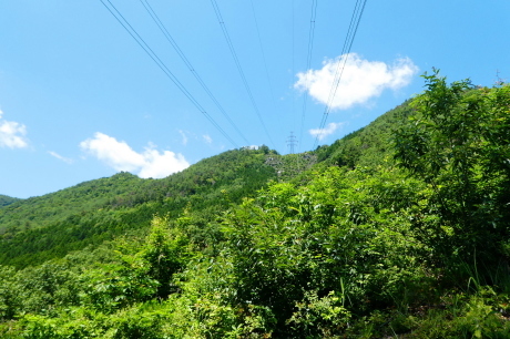 d0170615_08333962.jpg
