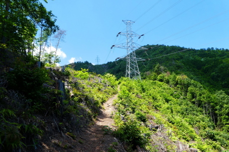 d0170615_08334918.jpg