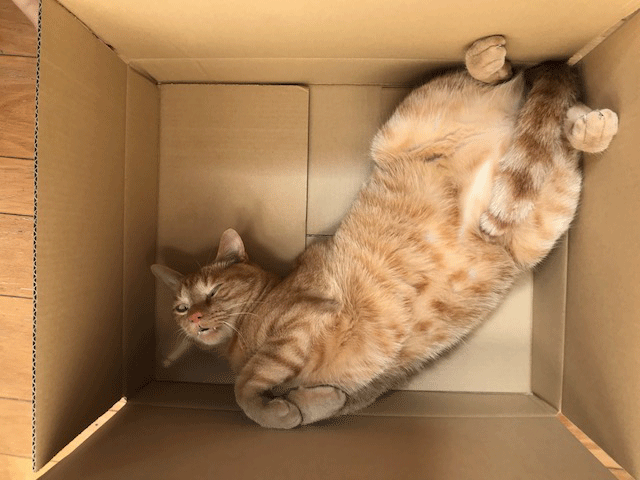 e0195115_16085933.gif