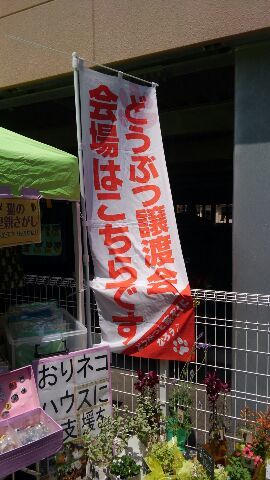 d0250123_22330951.jpg