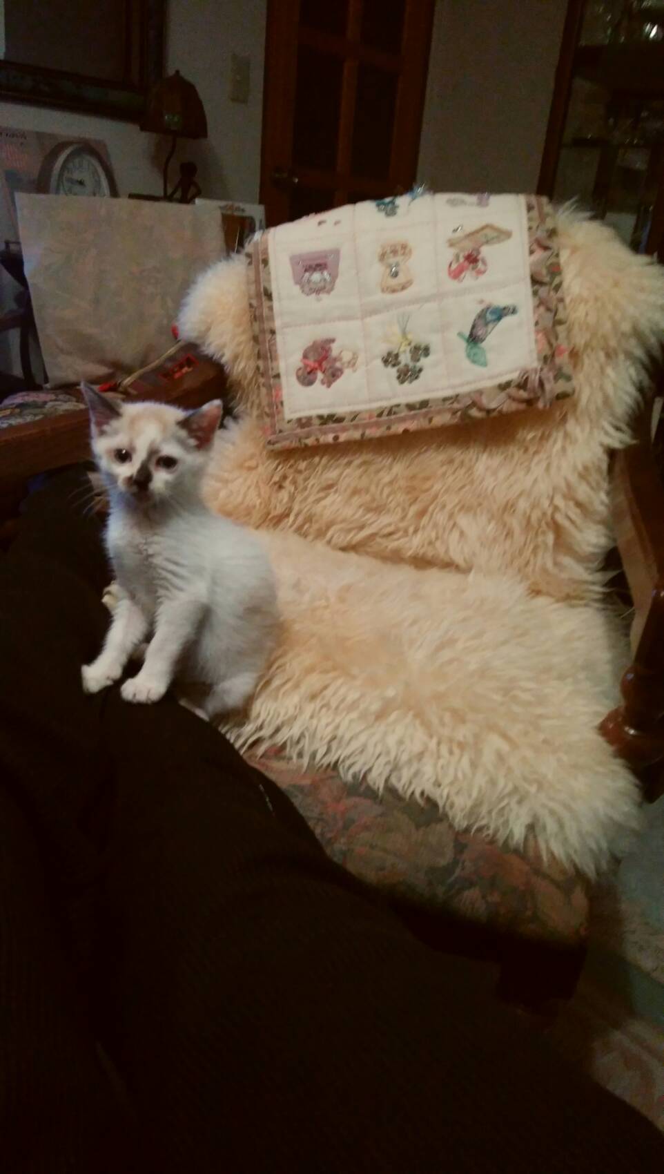 自然界の出来事_c0155326_00420053.jpg