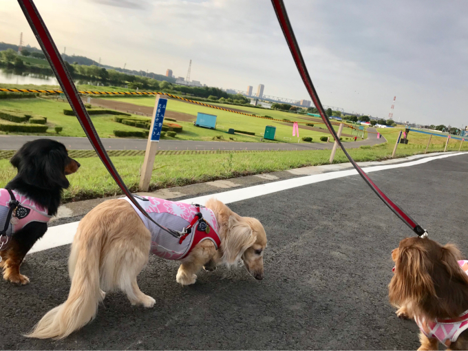 １８年６月２日 サッカー&オークラランチ！_c0117831_14464862.jpg