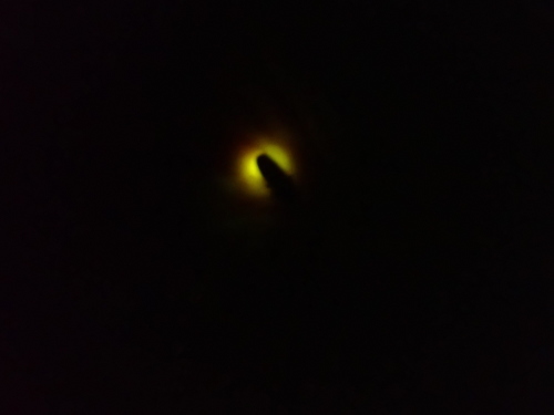 c0337631_22174606.jpg