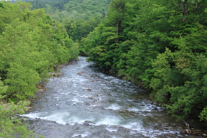 f0348831_17112336.jpg