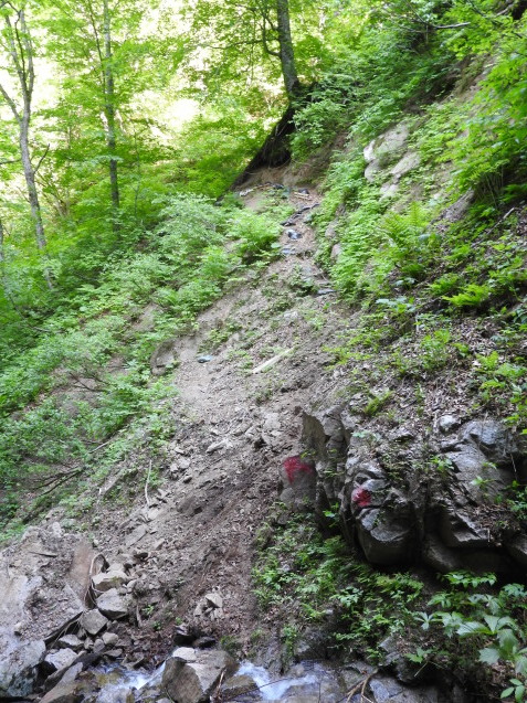 f0118332_23451116.jpg