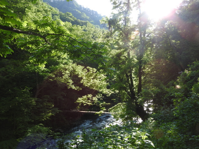 f0118332_23452038.jpg