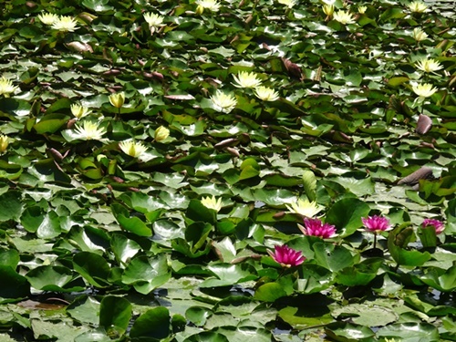 d0037233_09163869.jpg