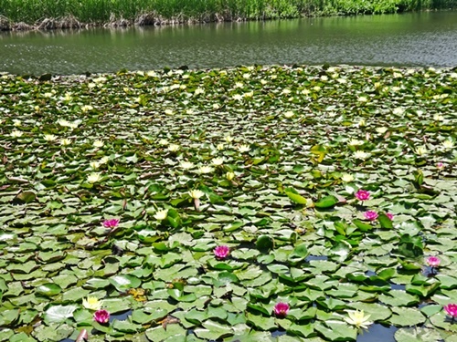 d0037233_09164838.jpg
