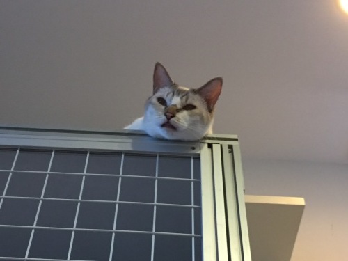 c0342535_19064545.jpeg