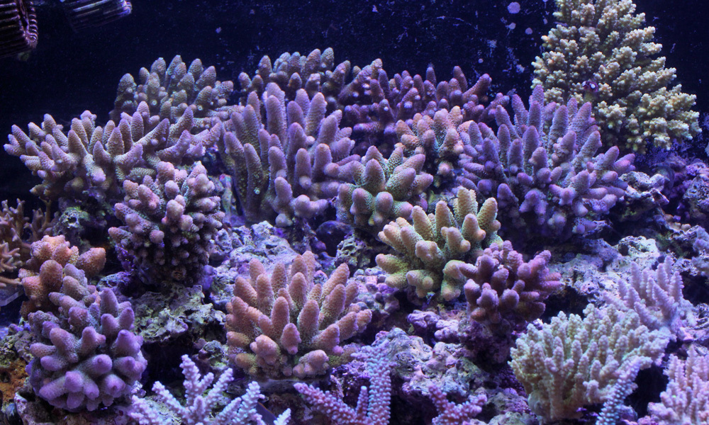 d0221436_19575763.jpg