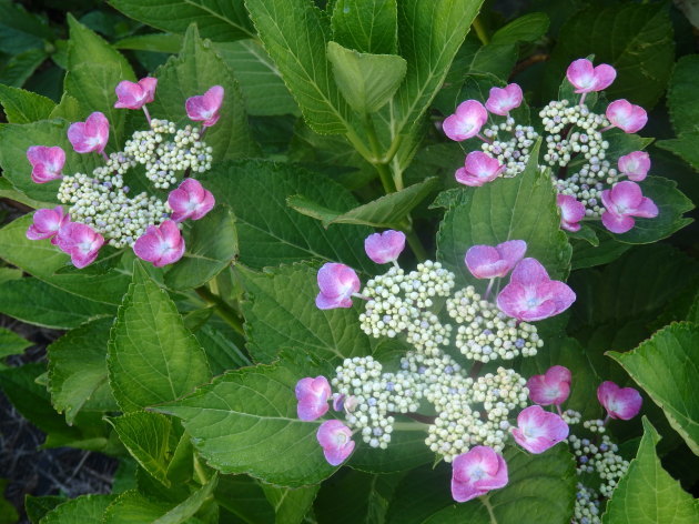 a0054240_21070338.jpg
