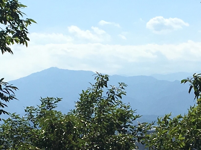 b0330040_15390896.jpeg
