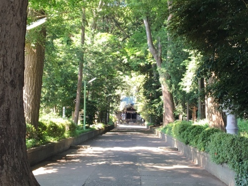 b0330040_15595371.jpeg