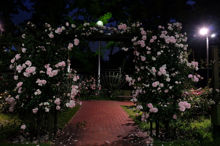 d0250840_02132753.jpg