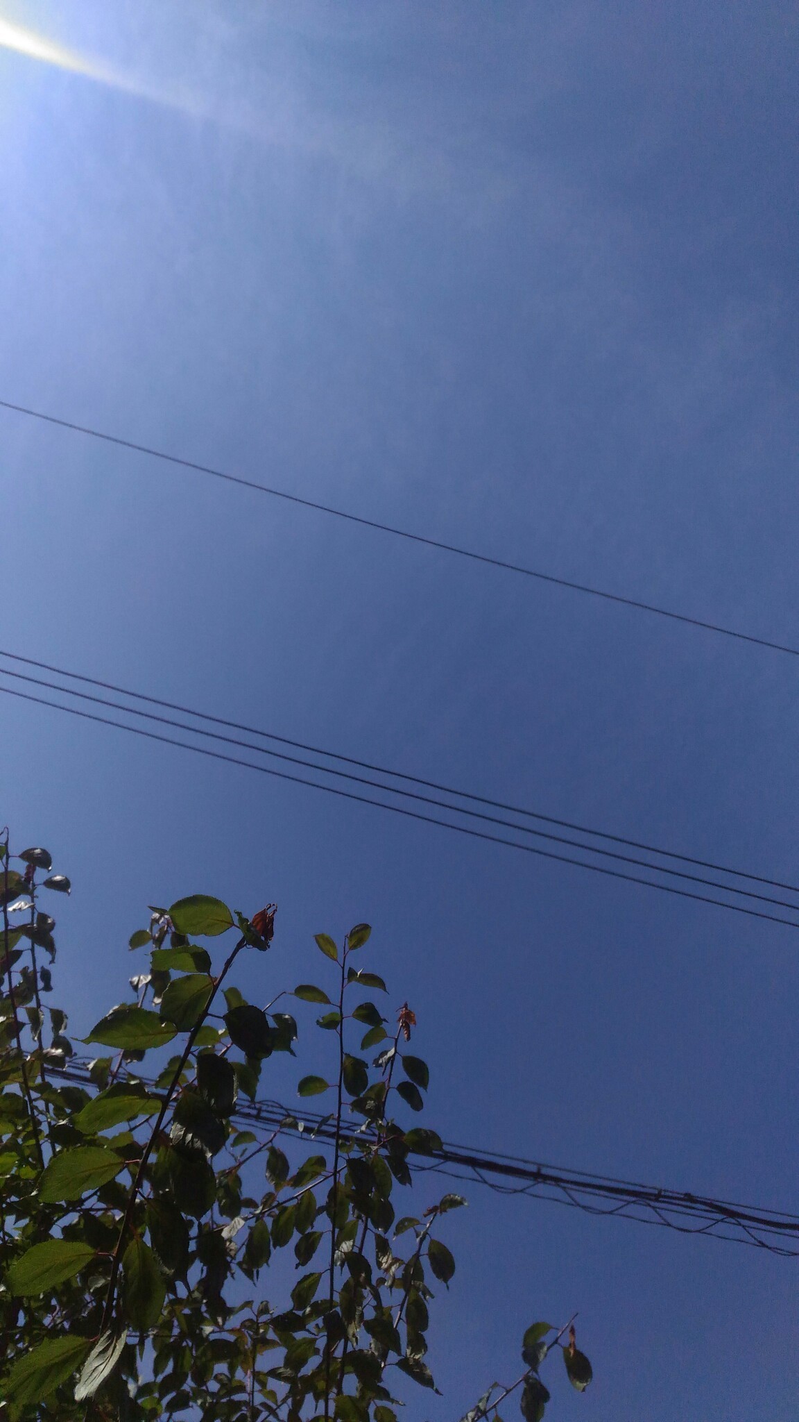 d0343540_14315065.jpg