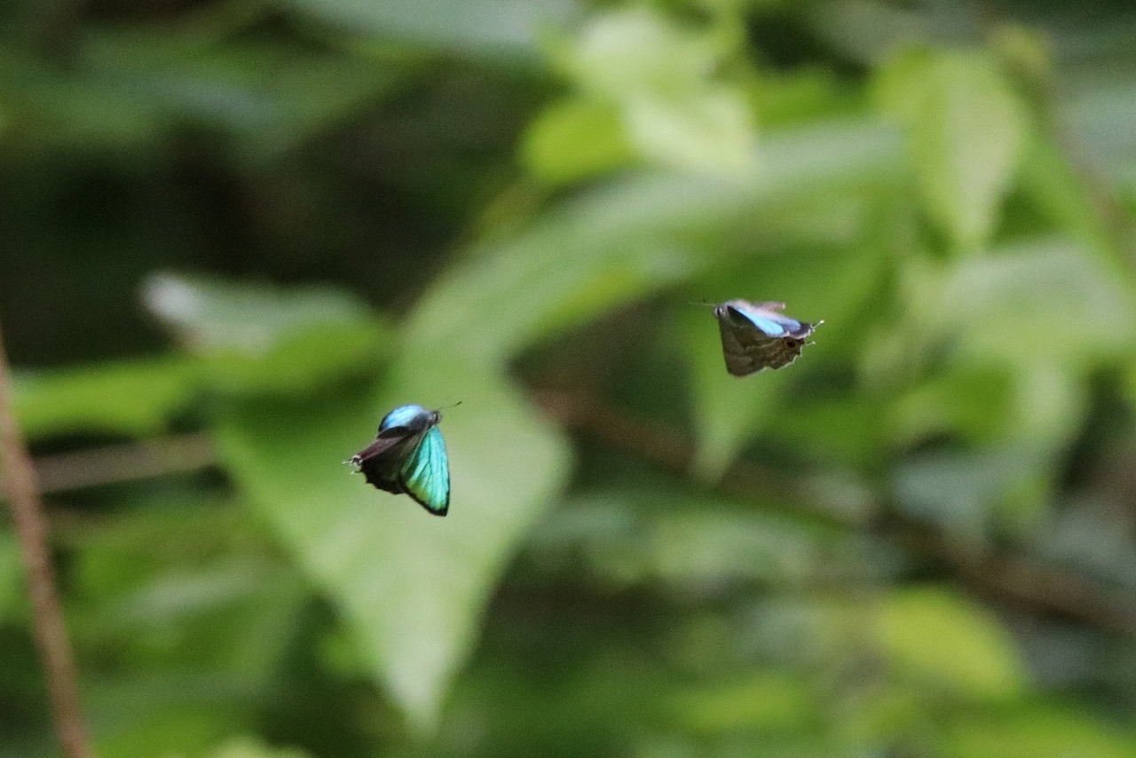 d0361041_21490516.jpg
