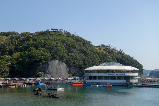 2018/05/01 下田海中水族館_b0330044_23214998.jpg