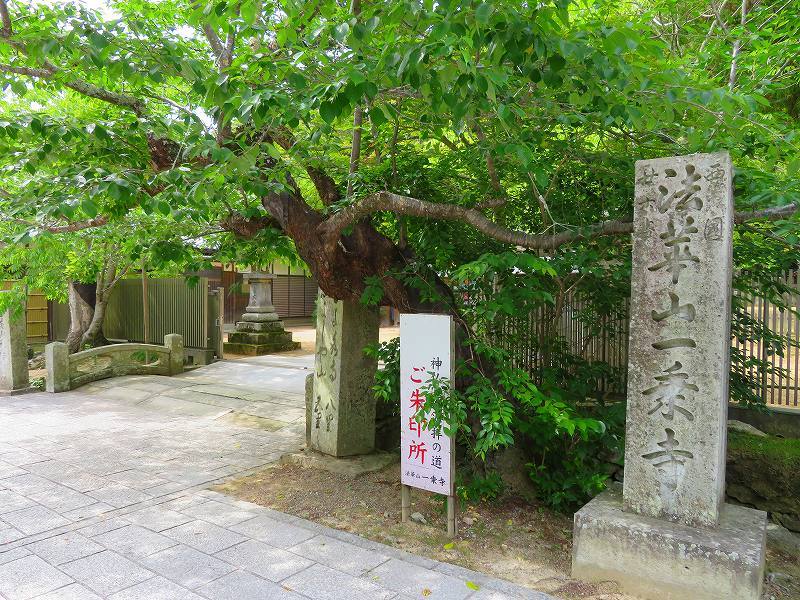 西国26番札所「法華山一乗寺」20180527_e0237645_22572036.jpg