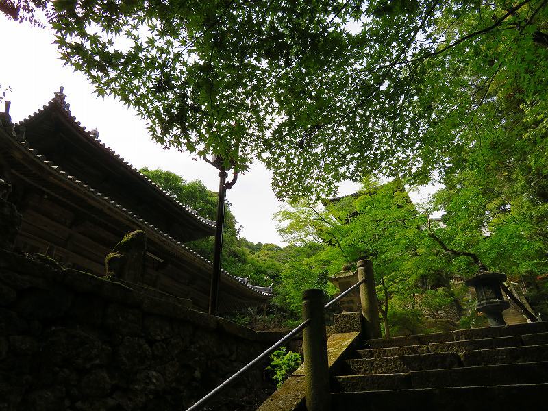 西国26番札所「法華山一乗寺」20180527_e0237645_22572068.jpg