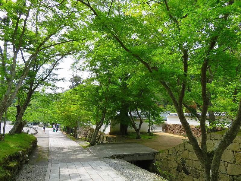 西国26番札所「法華山一乗寺」20180527_e0237645_22572074.jpg