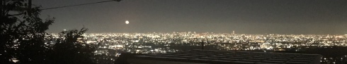 d0040546_14594887.jpeg