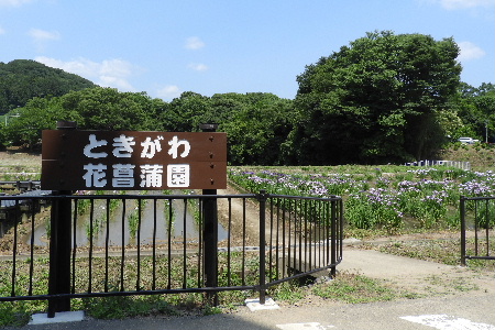 さいたま-くぬぎむら体験交流館-千年の苑_e0172950_20404720.jpg