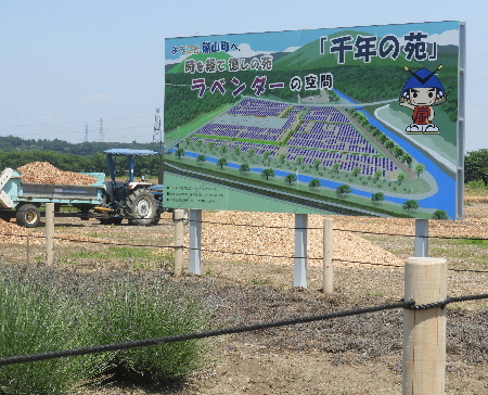さいたま-くぬぎむら体験交流館-千年の苑_e0172950_20435823.jpg