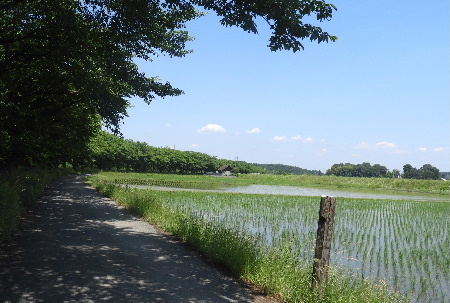さいたま-くぬぎむら体験交流館-千年の苑_e0172950_20441649.jpg