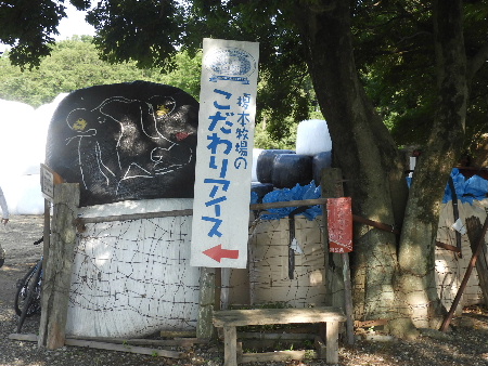 さいたま-くぬぎむら体験交流館-千年の苑_e0172950_2046458.jpg