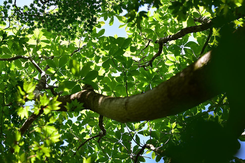 b0370155_14563401.jpg