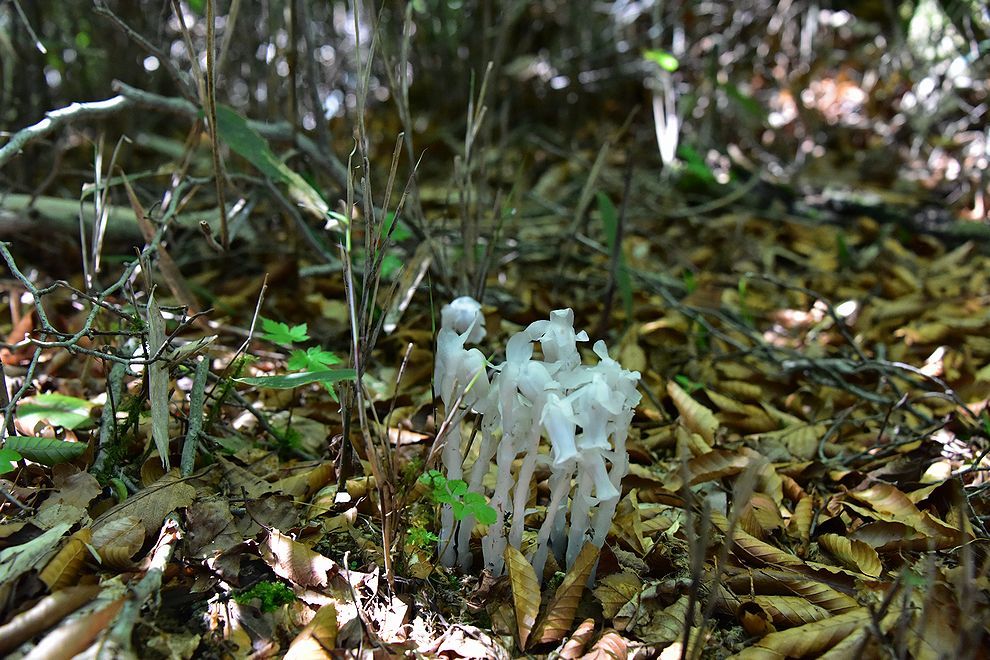 b0370155_14565049.jpg