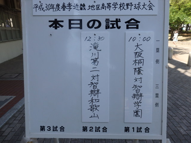 2018高校野球 春の近畿大会準決勝 ほっこりこたつ猫