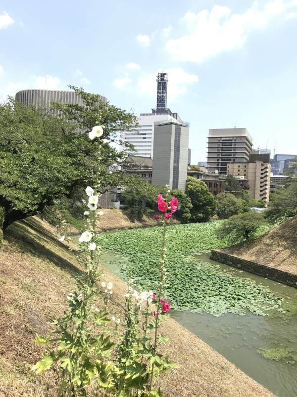 a0235158_16451232.jpeg