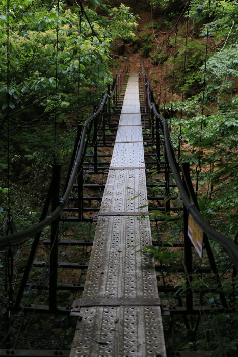 e0338862_18364114.jpg