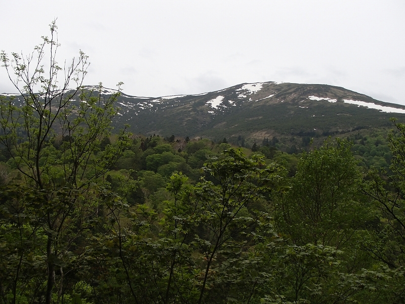 b0044663_00231630.jpg