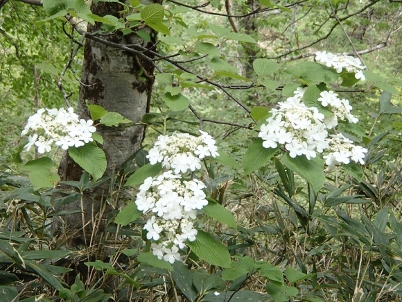 b0044663_00251056.jpg