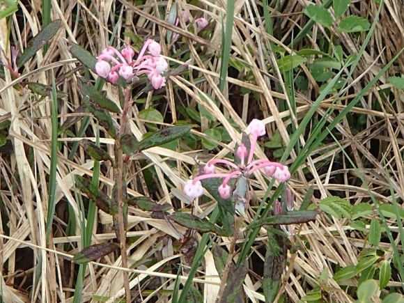 b0044663_00360353.jpg