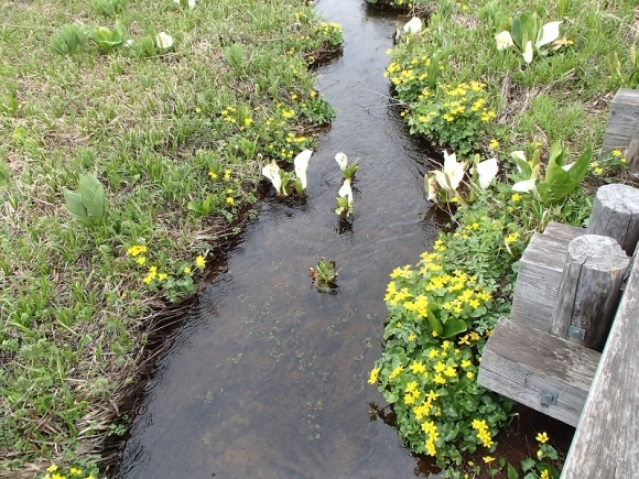 b0044663_00442914.jpg