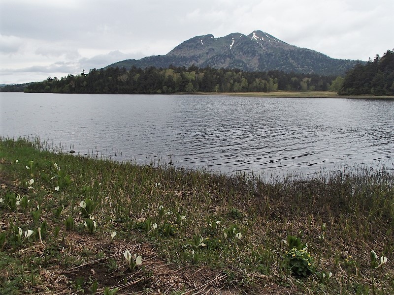 b0044663_01062366.jpg